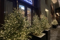 0102 оформление ресторанов.  08.12.21г.  фотограф Наташа Волконская 89160847555 @natasha_volkonskaya @volkonskaya_n